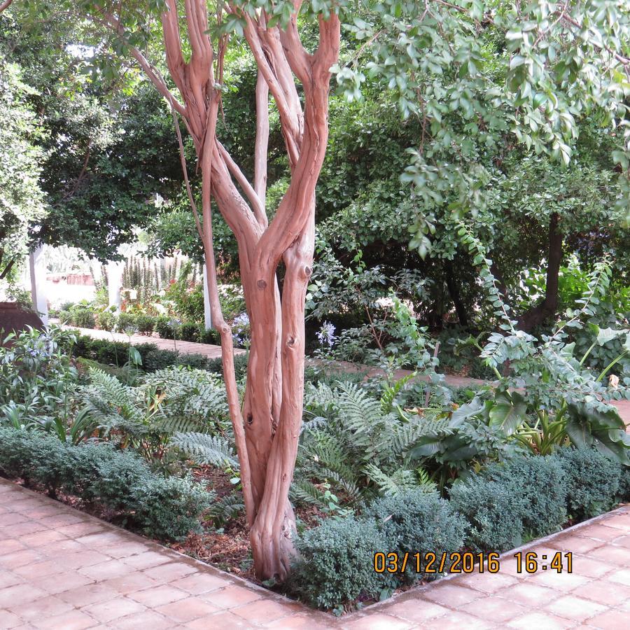 Hotel Boutique Quinta Maria Santa Cruz Εξωτερικό φωτογραφία