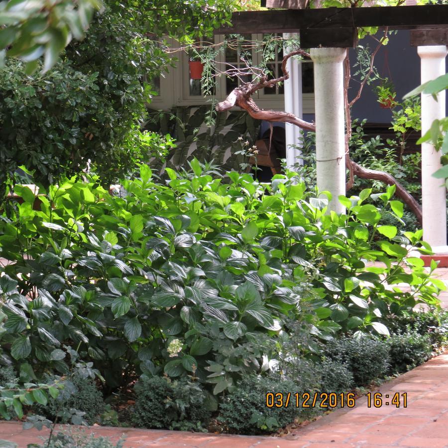 Hotel Boutique Quinta Maria Santa Cruz Εξωτερικό φωτογραφία