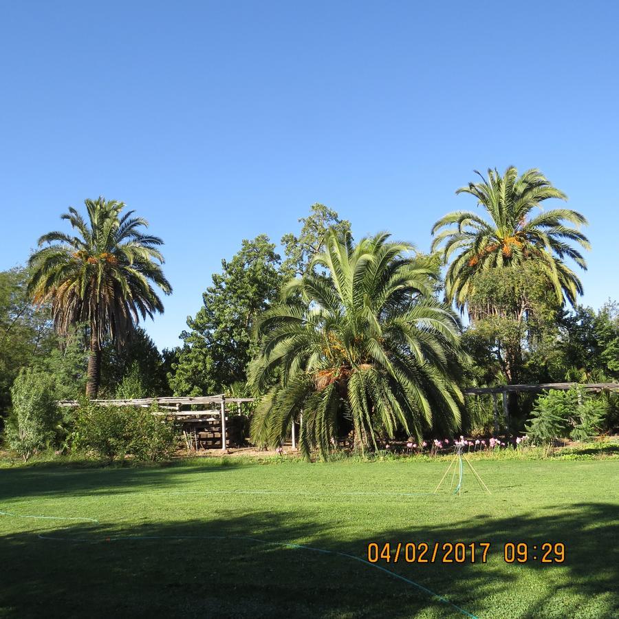 Hotel Boutique Quinta Maria Santa Cruz Εξωτερικό φωτογραφία