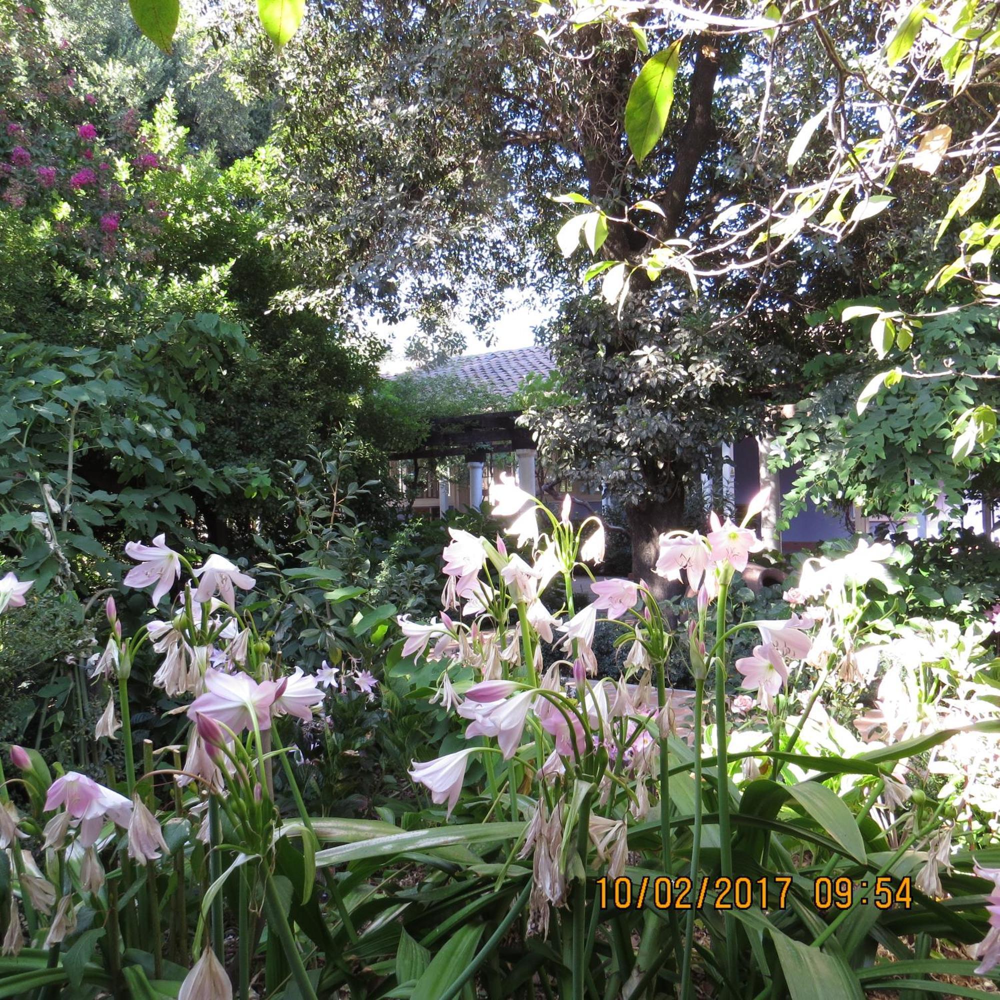 Hotel Boutique Quinta Maria Santa Cruz Εξωτερικό φωτογραφία