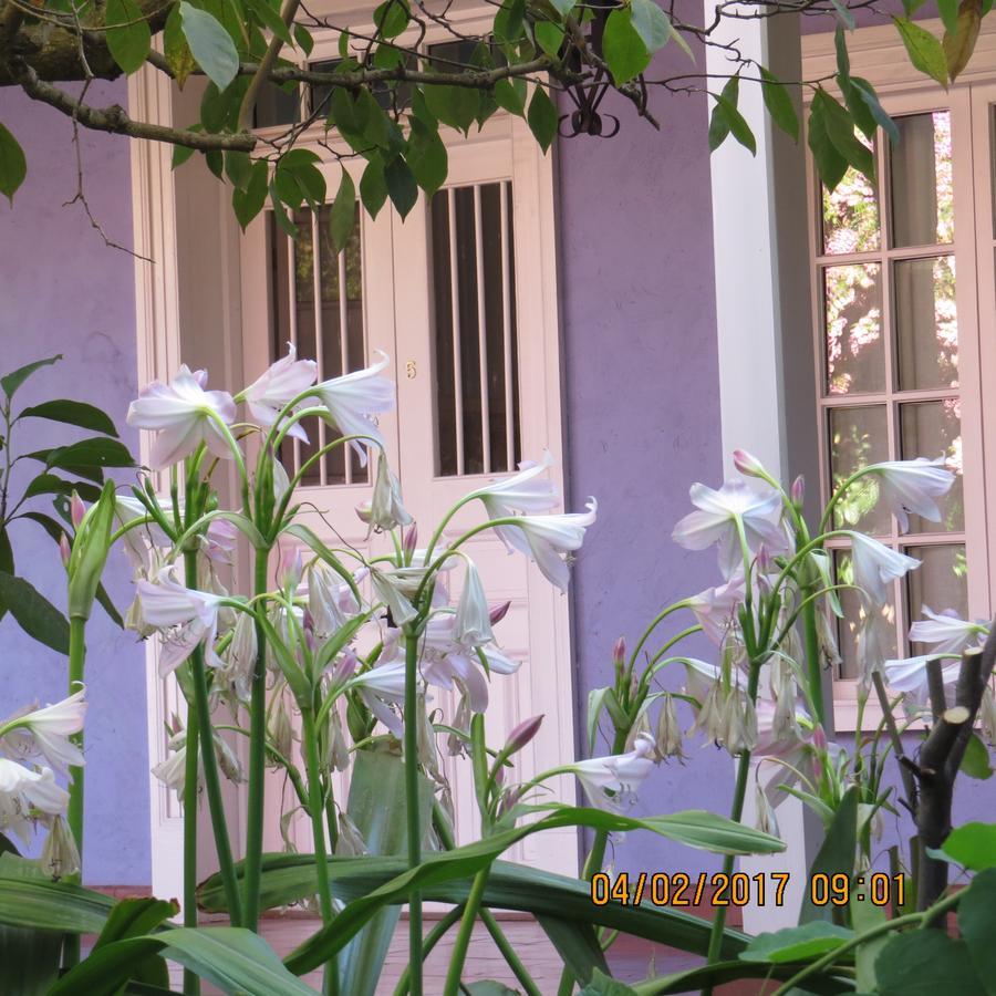 Hotel Boutique Quinta Maria Santa Cruz Εξωτερικό φωτογραφία
