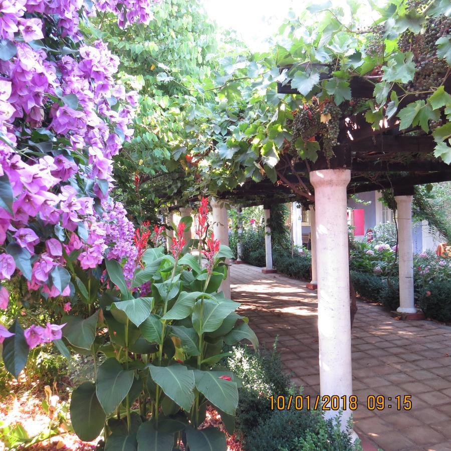 Hotel Boutique Quinta Maria Santa Cruz Εξωτερικό φωτογραφία