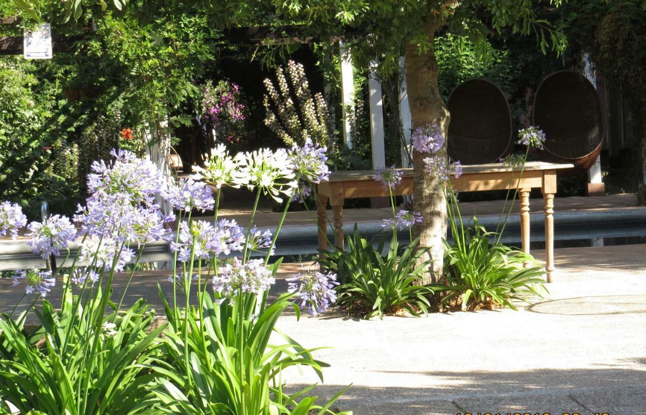 Hotel Boutique Quinta Maria Santa Cruz Εξωτερικό φωτογραφία