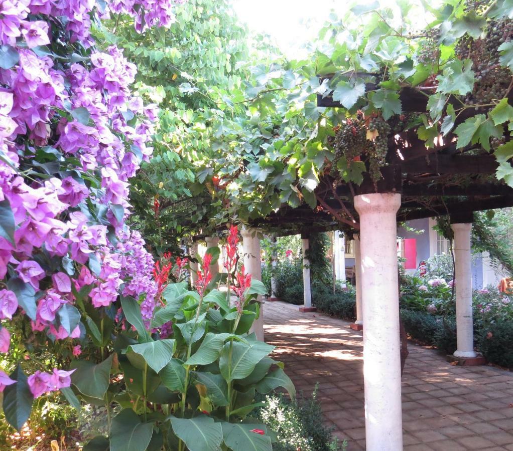 Hotel Boutique Quinta Maria Santa Cruz Εξωτερικό φωτογραφία