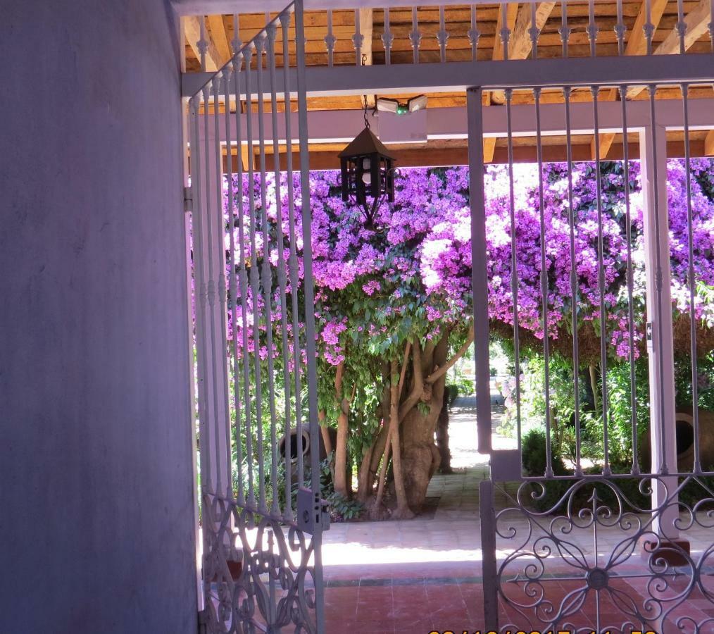 Hotel Boutique Quinta Maria Santa Cruz Εξωτερικό φωτογραφία