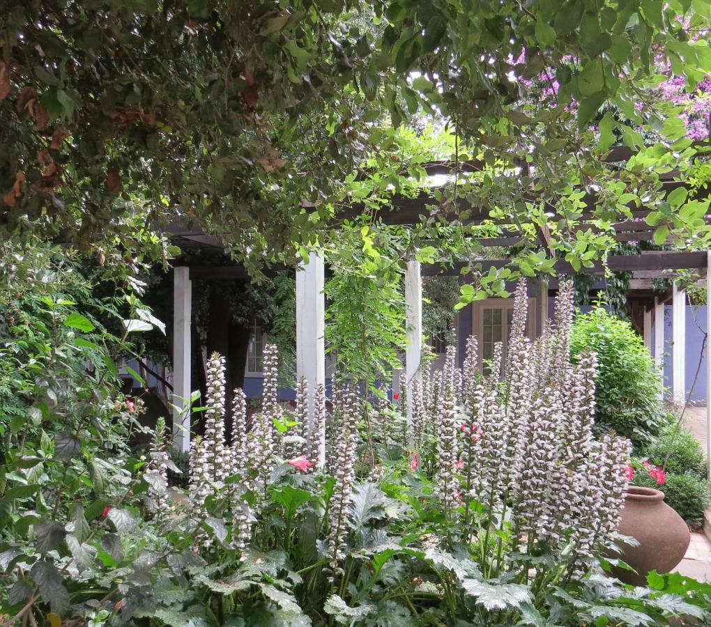 Hotel Boutique Quinta Maria Santa Cruz Εξωτερικό φωτογραφία